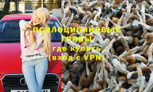 мдпв Саяногорск