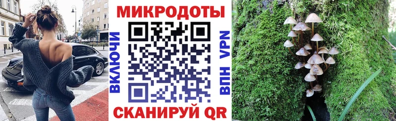 цены наркотик  Баксан  Псилоцибиновые грибы GOLDEN TEACHER 