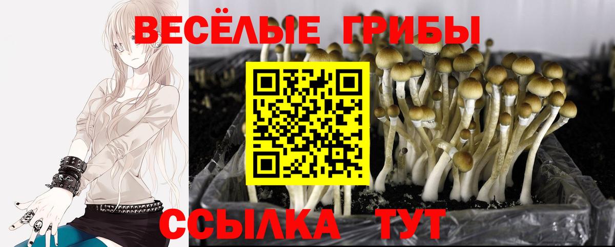 Галлюциногенные грибы Magic Shrooms  Баксан 