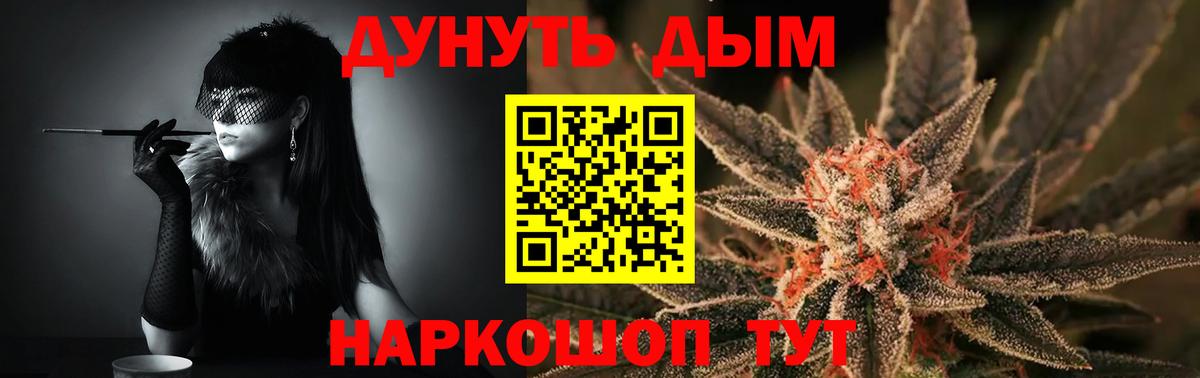 Конопля индика Баксан